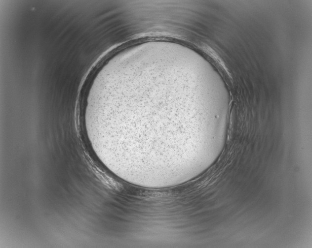 X0000072501076200608111622