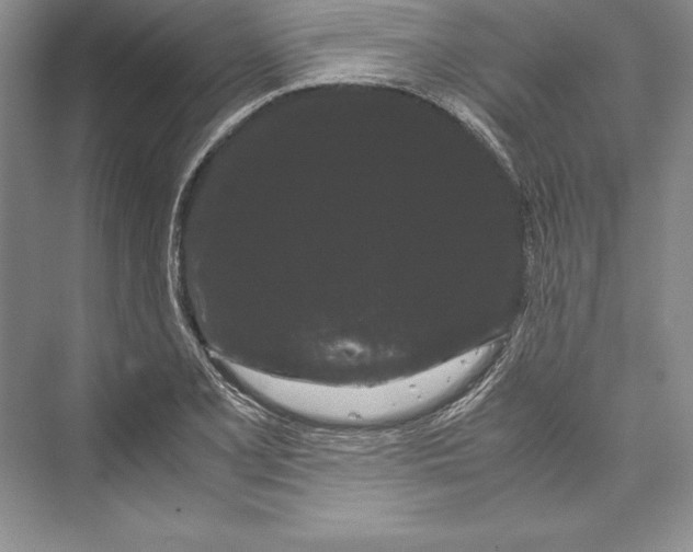 X0000072501077200608111622