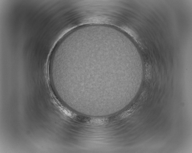 X0000072501078200608111622