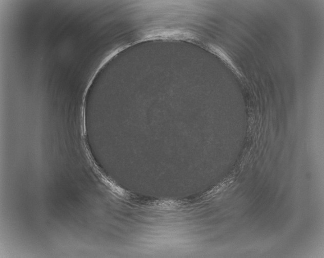 X0000072501079200608111622