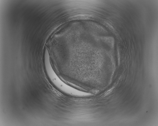 X0000072501081200608111622