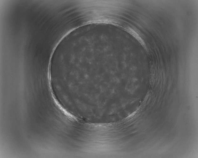 X0000072501084200608111622