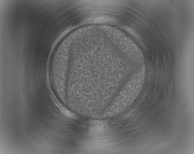 X0000072501086200608111622