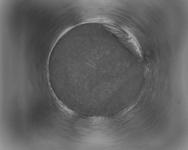 X0000072501087200608111622