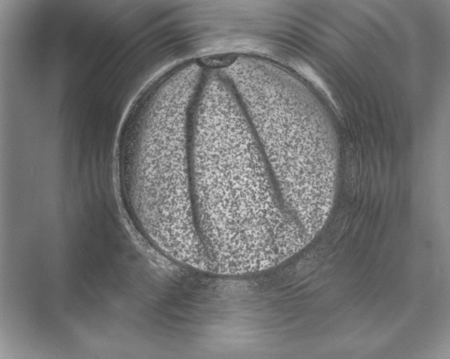 X0000072501088200608111622