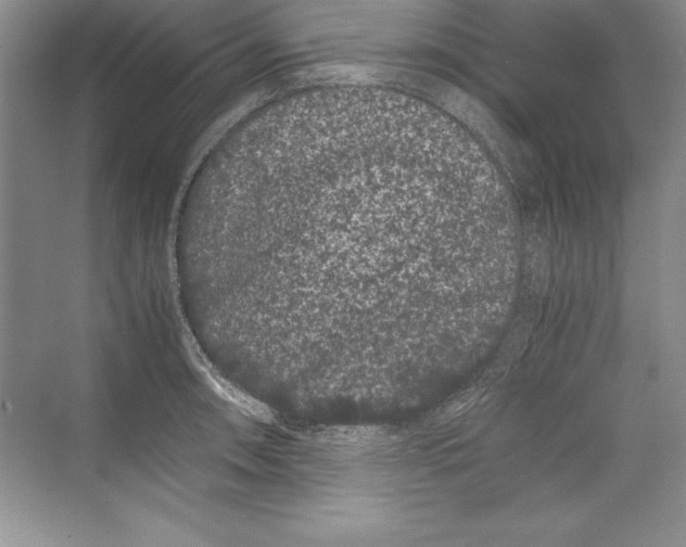 X0000072501090200608111622