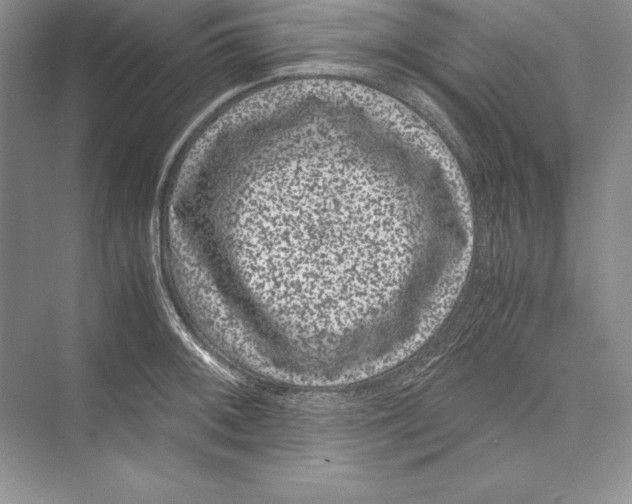 X0000072501092200608111622