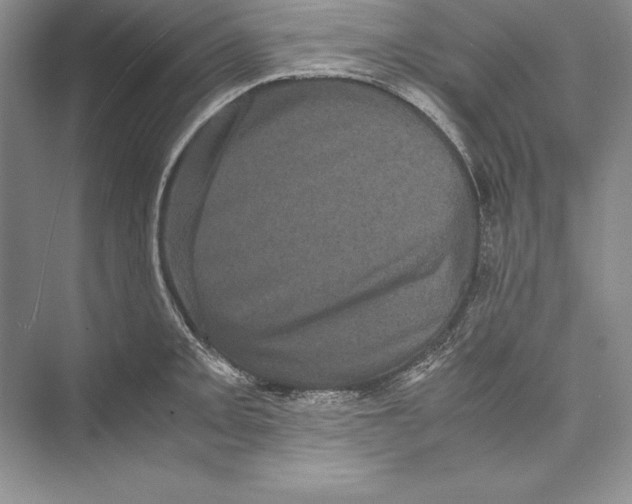 X0000072501093200608111622