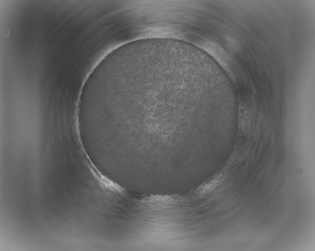 X0000072501094200608111622