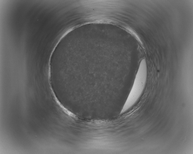 X0000072501095200608111622