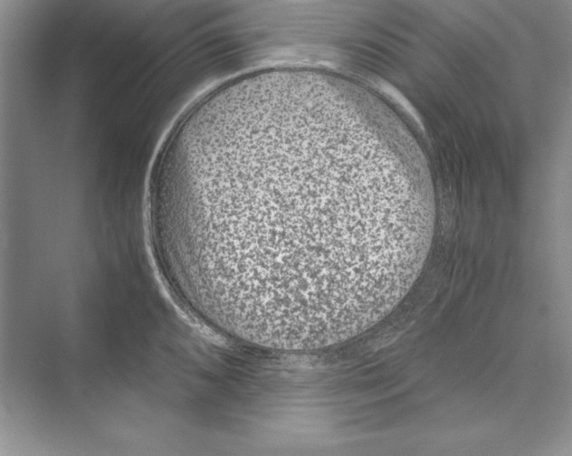 X0000072501096200608111622