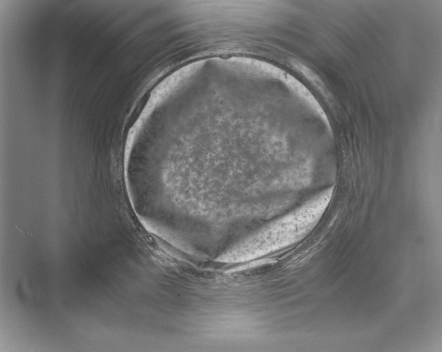 X0000072501097200608111621