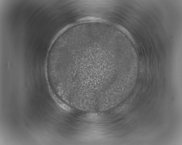 X0000072501098200608111621