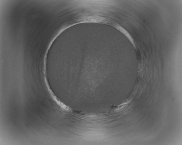 X0000072501099200608111621