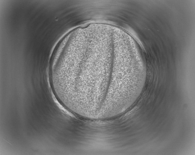 X0000072501100200608111621