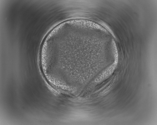 X0000072501101200608111621