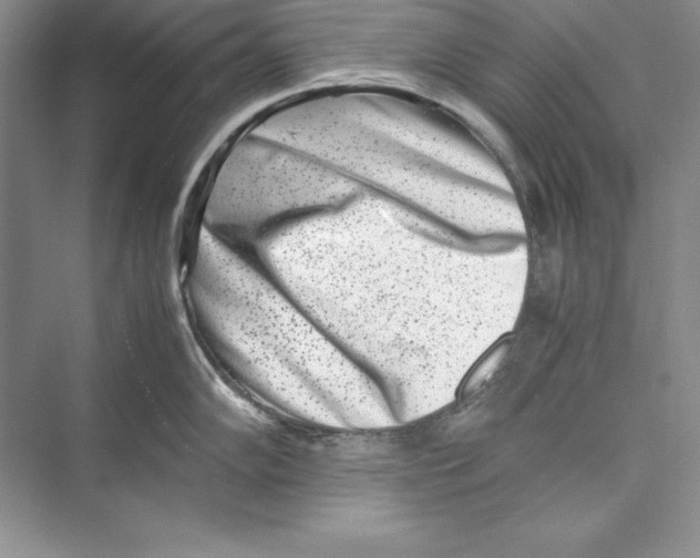 X0000072501102200608111621