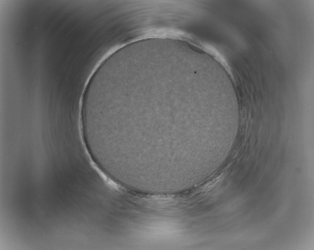 X0000072501103200608111621