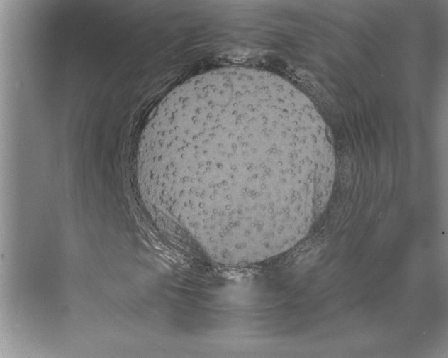 X0000072501105200608111621