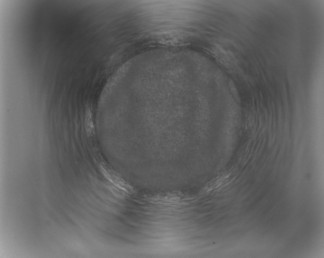 X0000072501106200608111621