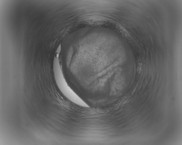 X0000072501108200608111621