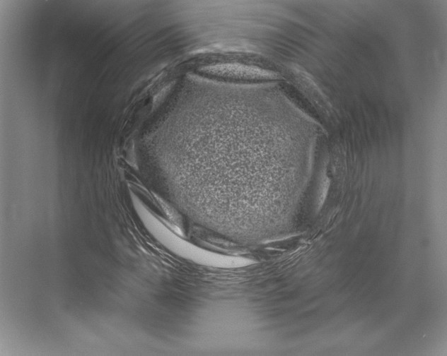 X0000072501110200608111621