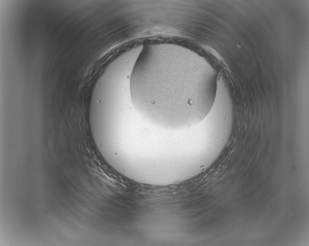 X0000072501112200608111621