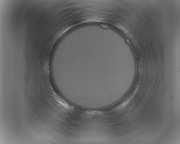 X0000072501113200608111621