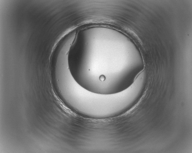 X0000072501114200608111621