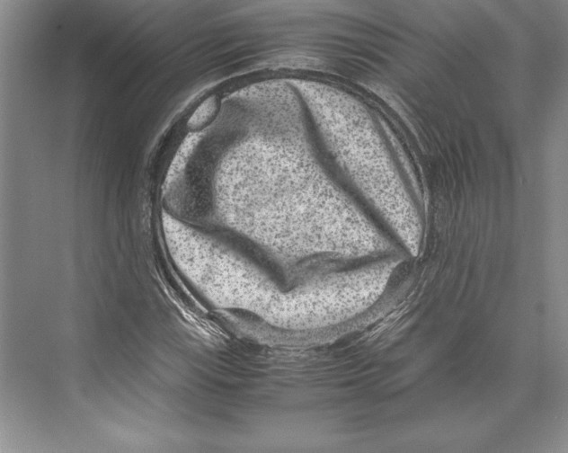 X0000072501115200608111621