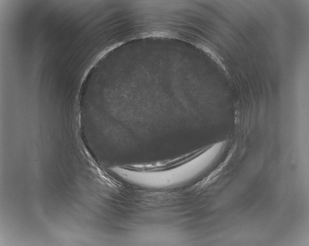 X0000072501117200608111621