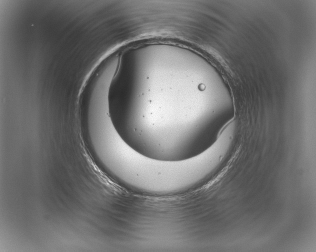 X0000072501118200608111621