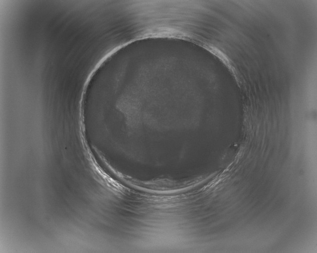 X0000072501120200608111621