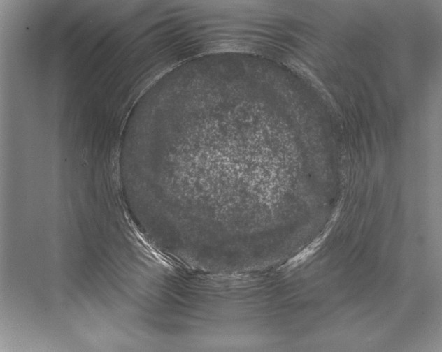 X0000072501121200608111621