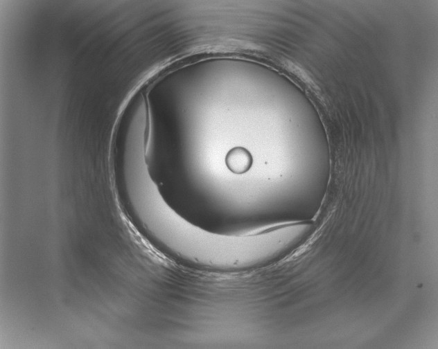 X0000072501122200608111621