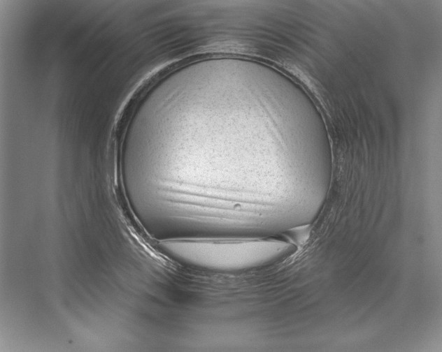 X0000072501123200608111621