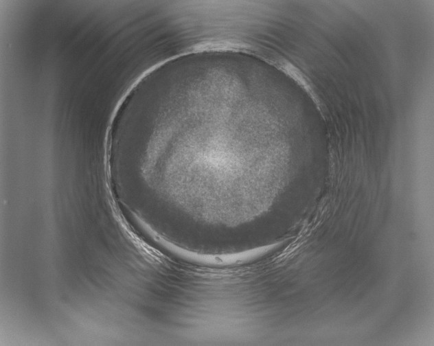 X0000072501124200608111621