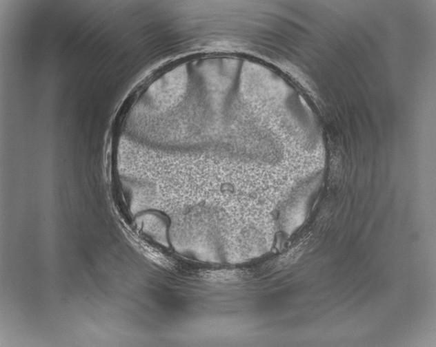 X0000072501126200608111621