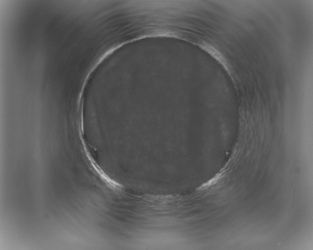 X0000072501127200608111621