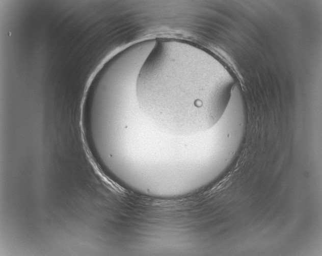 X0000072501128200608111621