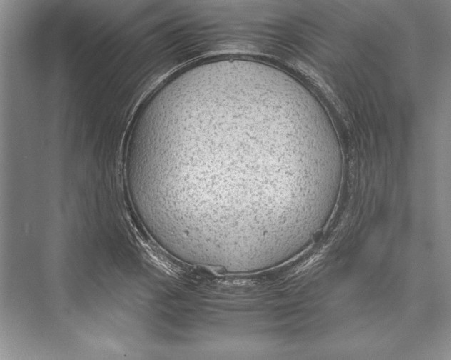 X0000072501129200608111621