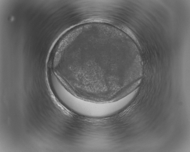 X0000072501132200608111621