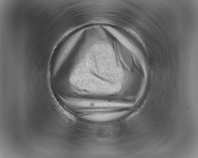 X0000072501133200608111621