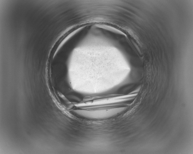 X0000072501134200608111621