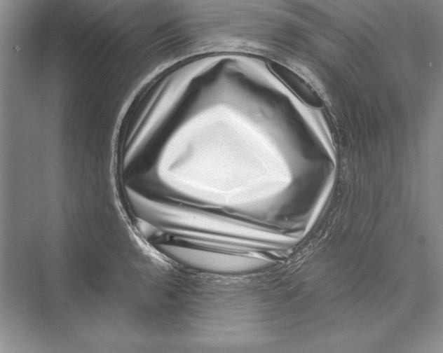 X0000072501136200608111621