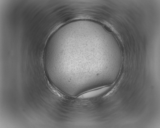 X0000072501137200608111621