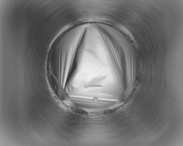 X0000072501138200608111621