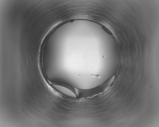 X0000072501139200608111621