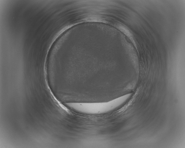 X0000072501141200608111621