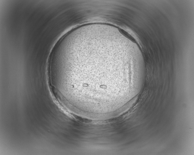 X0000072501142200608111621